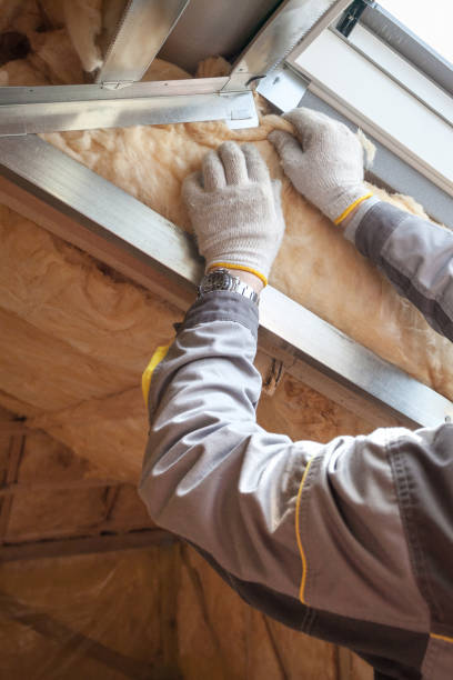 Types of Insulation We Offer in Ridgeland, MS