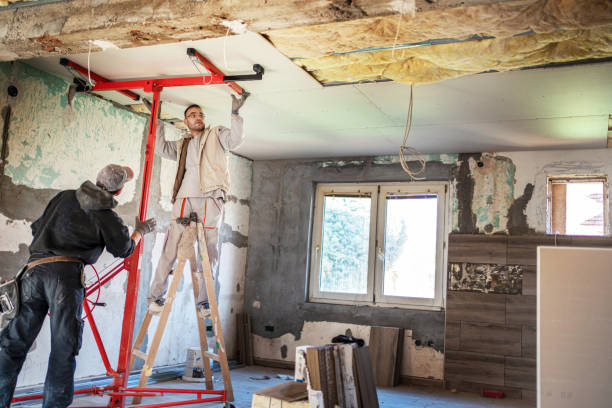 Best DIY Insulation Kits and Guidance in Ridgeland, MS