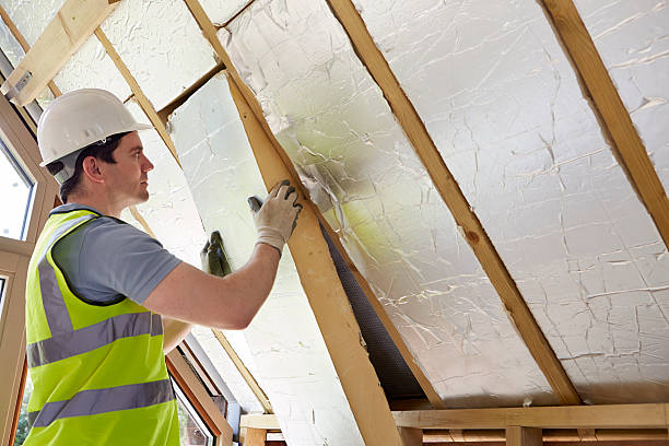 Best DIY Insulation Kits and Guidance in Ridgeland, MS